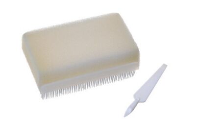 खरीदें चिकित्सा उपयोग के लिए हैंड स्क्रब ब्रश ️ हेल्थकेयर वातावरण के लिए एर्गोनोमिक रूप से डिज़ाइन किए गए, लंबे समय तक चलने वाले, एंटीबैक्टीरियल ब्रश ऑनलाइन निर्माण