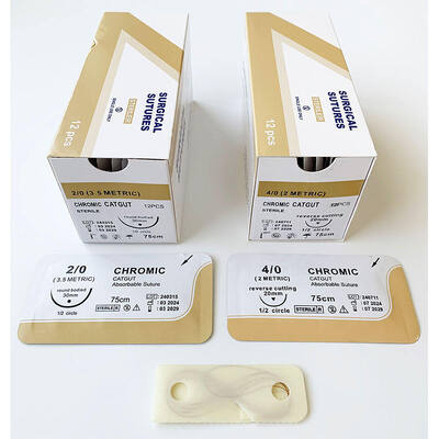 अच्छा मूल्य अवशोषित कैटगुट सिट्यूशन - घाव बंद करने के लिए बायोडिग्रेडेबल हाई स्ट्रेंथ सर्जिकल सिट्यूशन ऑनलाइन